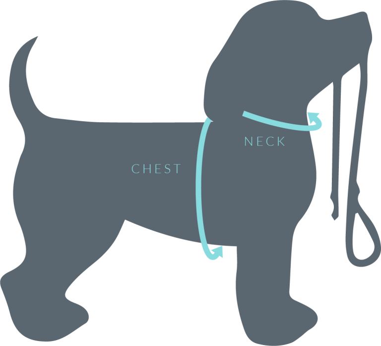 Suburban Collar Size