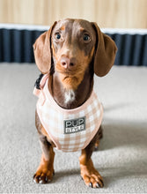Creme Brulee Harness (Seconds)