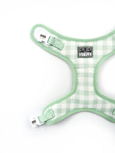Sweet Apple Harness