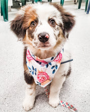 Fresh Blooms Bandana