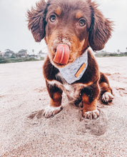 Greys for Days Bandana