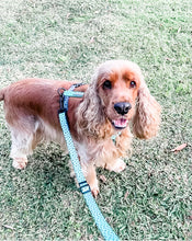 "Santorini" Adjustable Adventure Leash